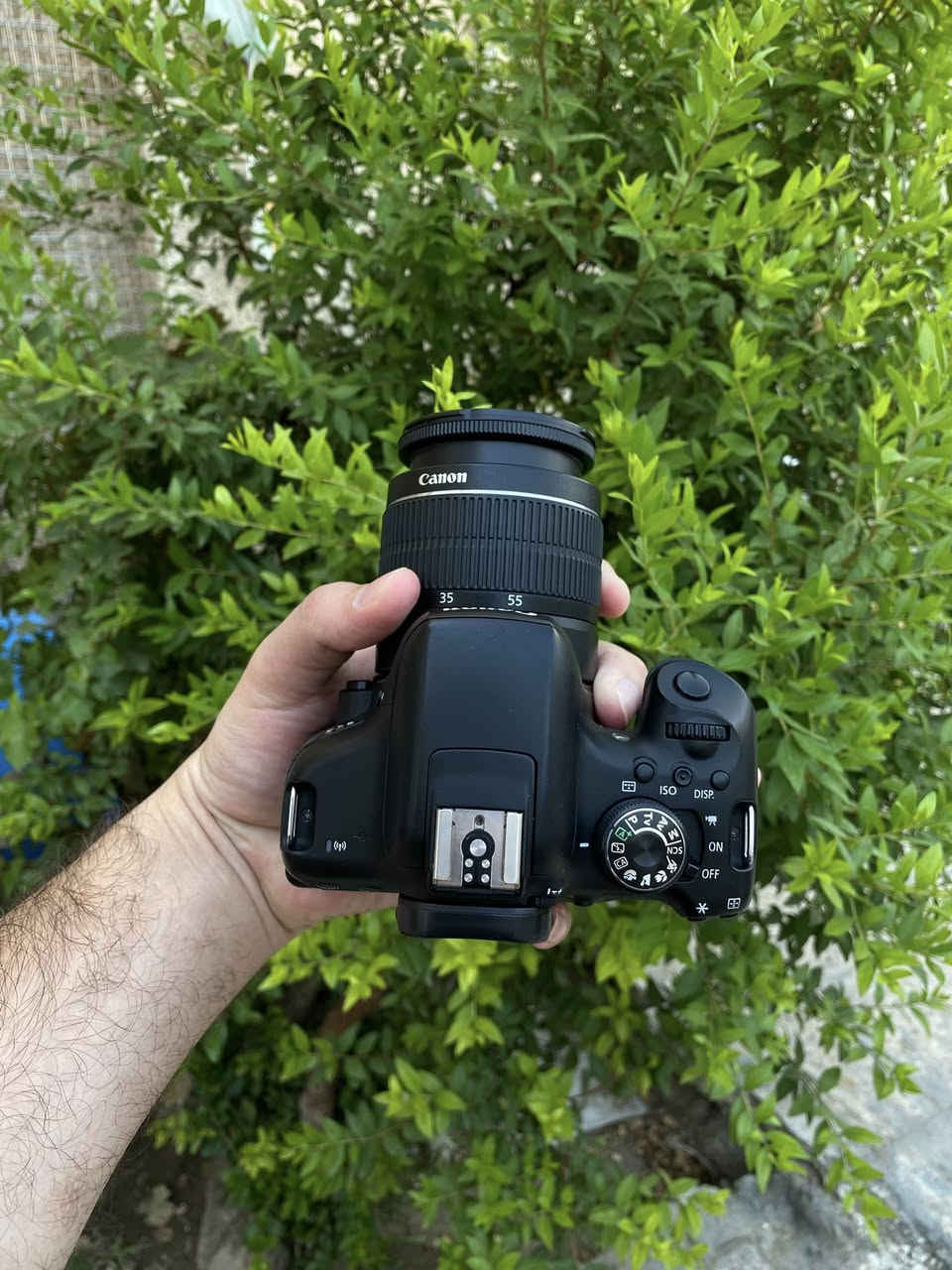للبيع كامرا كانون 750D الحديثة شاشة لمس قلاب + wifi لنقل صور
نضافه موضحة بلصور
ملحقات
عدسه 18-55 
شاحنة
بطاريه
حزام 
السعر 430 الف وبي مجال للطيبين 
مكان بغداد البنوك 
لايوجد توصيل


**إذا كنت صاحب هذا الإعلان وتريد حذفه لأي سبب، رجاءا أرسل رسالة إلى الدعم الفني**