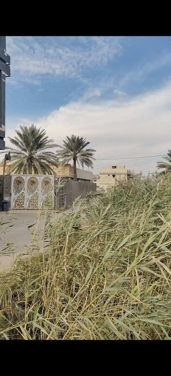 بسم الله الرحمن الرحيم
قطعة أرض طابو زراعي سند 25 للبيع 

📐 المساحة: 100 متر مربع

📍 الموقع: حي الزيتون– منطقة تحتوي جميع الخدمات 

..

🕌 تبعد عن الإمام الحسين (ع) حوالي 5.8 كم

✅ الخدمات متوفرة داخل المنطقة

ماء 💧 | كهرباء ⚡ | طرق معبّدة 🚗

⭐ لماذا تشتري هذه الأرض؟

1️⃣ طابو زراعي رسمي 

2️⃣ شكل مربع 

3️⃣ منطقة مخدومة بالكامل 

4️⃣ موقع استراتيجي قريب من المدينة والطرق الرئيسية

5️⃣ مساحة مثالية (100م²) 

6️⃣ ارتفاع الطلب على الأراضي الزراعية المخدومة

7️⃣ سعر مناسب مقارنة بالموقع والمميزات

8️⃣ امامك بستان 

للإستفسار عن السعر والتفاصيل الاضافية :

على الخاص والارقام

***********

***********
