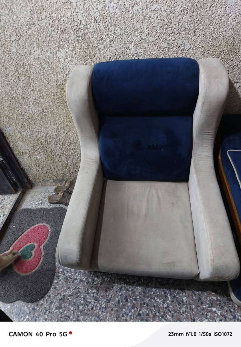 نص تخم للبيع فقط يحتاج ارجل سعر 100 وبي مجال مكان الحسينية الراشدية الاستفسار على  الرقم ***********
