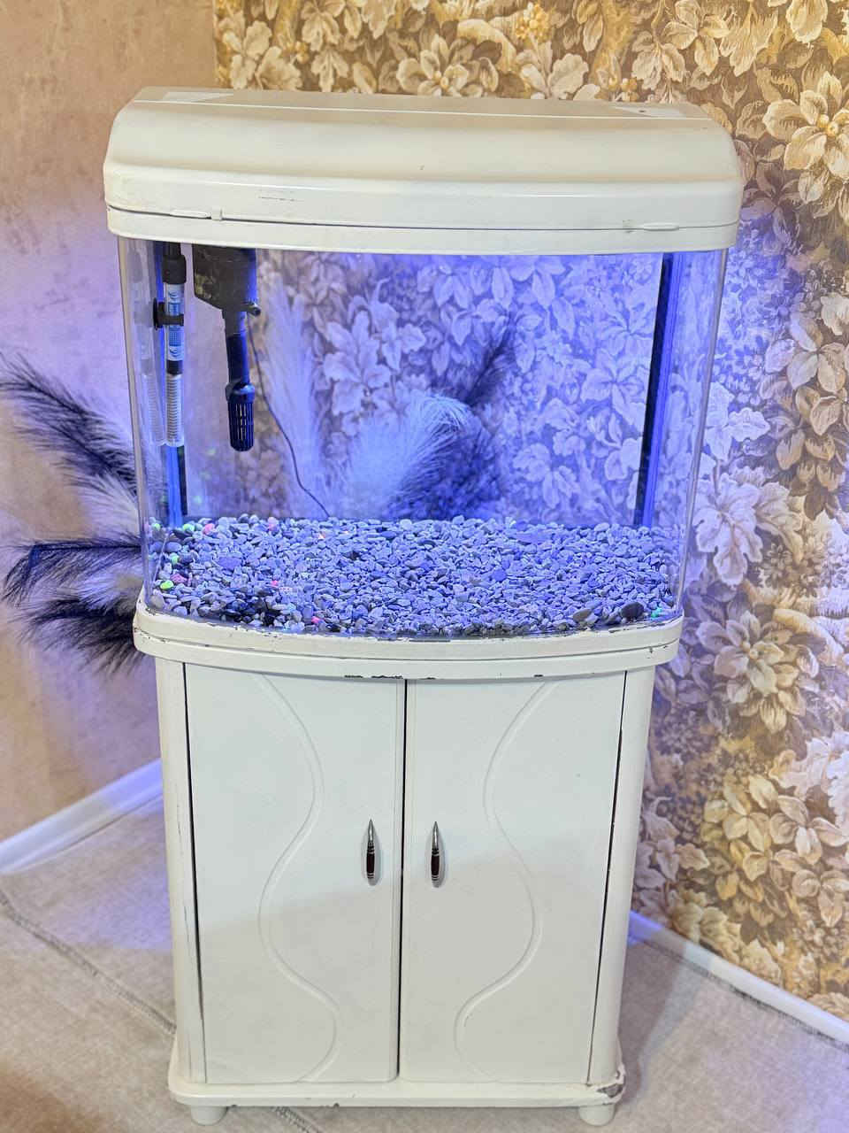 سڵاوتان لێبێت ئەم حەوزە بۆ فرۆشتن بە مێزەکەوە. شتێکی جوان و تایبەتە و پێشی قەوسە. قیاسی ٦٠×٢٥×٥٠ بە مێزەکەوە ١٢٠سم بەرزە. لید و فلتەری شەریکەی خۆی وە هیتەرێکی ١٠٠ واتی لەگەڵە وە نزیکی ٤ کیلۆ بەردی تێدایە
نرخی ٧٠.٠٠٠ مامەڵە. شوێن سلێمانی


**إذا كنت صاحب هذا الإعلان وتريد حذفه لأي سبب، رجاءا أرسل رسالة إلى الدعم الفني**