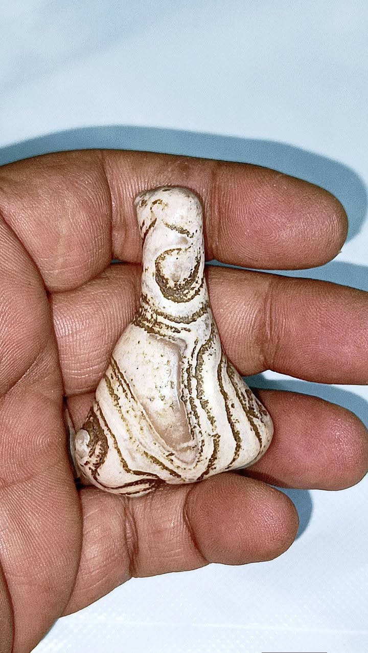 منگل نوادر النوادر تحف ومال زماط سلطاني عطف قديم وانتيك فول الفول وشرط الشغل تاخذة منجم 14 ليلة وبي توكيل عام وجاهز للحمل شغلة جاه وجاها مهابه محبه قبول طاعة تسهيل امور بيع وشراء عام وخدام وجاهز للحمل يعمل دوائر دولة عكد لسان  يوجد توصيل ***********       ***********
