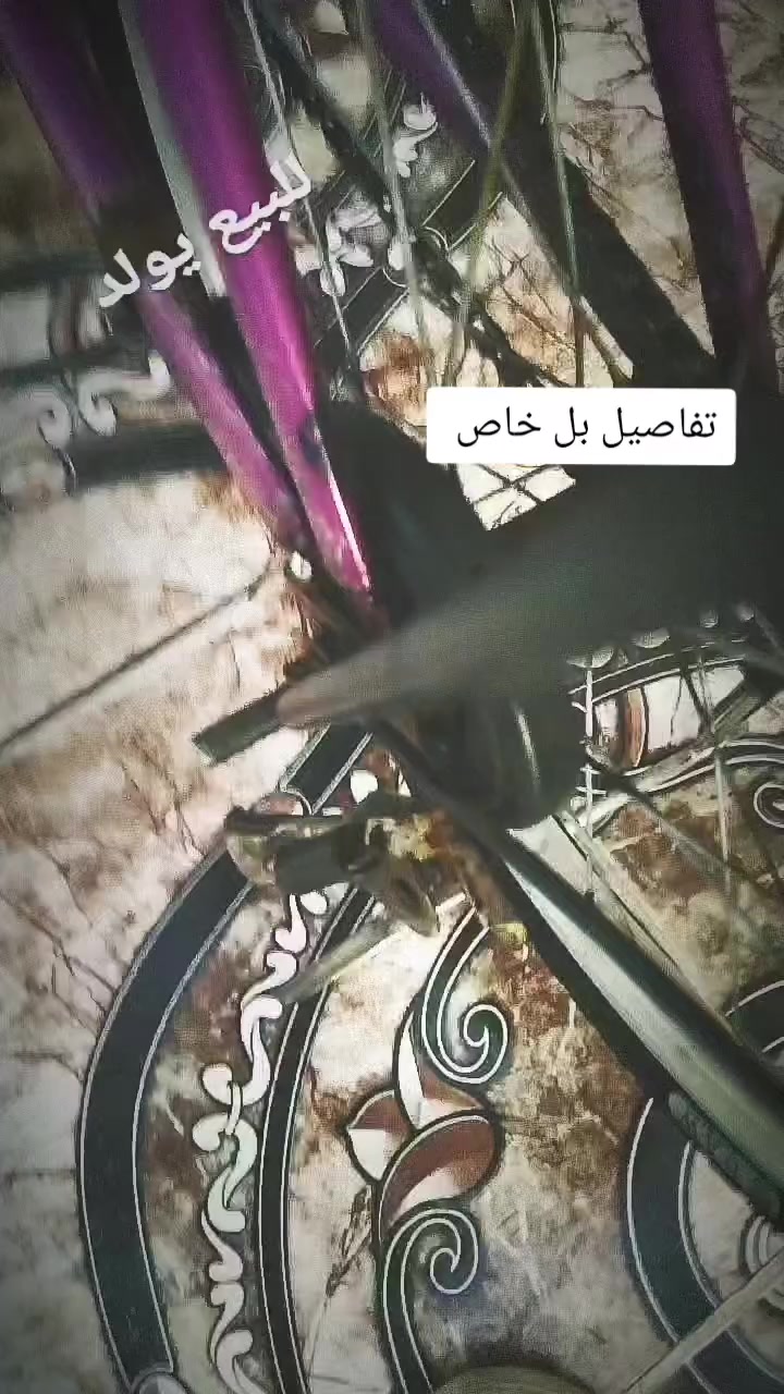 السلام عليكم يولد باسكل حجم 20 سعرر مناسب ولوتي بـ🩴وسعر مناسب سعرر 60 وبي مجال


**إذا كنت صاحب هذا الإعلان وتريد حذفه لأي سبب، رجاءا أرسل رسالة إلى الدعم الفني**