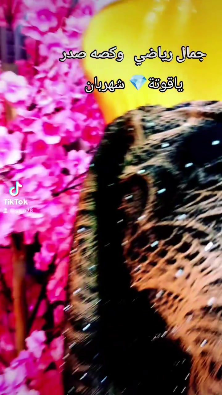 ام زهراء للخياطة وتصميم شهربان المقدادية  ***********
