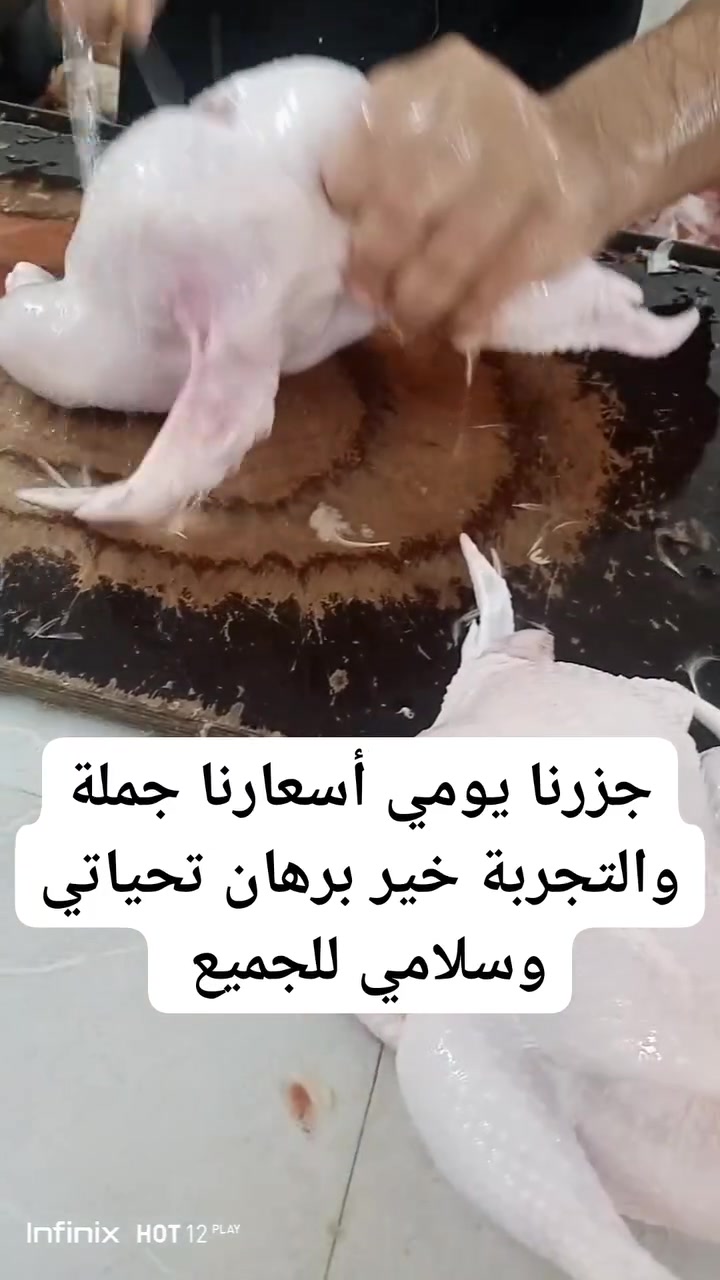 عروض يوم غدآ الثلاثاء 
على بركة محمد وال محمد 
 

التوصيل مجاني يشمل فقط المناطق أدناه 
الزهراء 
الخاجية 
داموك 
دور العمال 
الشهداء 
الدبية 
الطشاش
 
اذا عندك ثواب عندك موكب تعال يمي وتدلل خصم وسعر جملة وفرش اجهزك  حسب الطلب كميات مفتوحة اجهز المطاعم والمناسبات وأصحاب المواكب ابيعلك بسعر جملة وبثواب سيدي ومولاي أبا عبد الله الحسين.

دجاج متوفر غدا عندي ب٧٥٠٠ ،وب٨

------------------

الفخذ الكيلو ٤٥٠٠
العروض ٧ب٣٠
-------------------

كيلو الصدر المسحب ٧

----------------------------

الصدر الكيلو ب٥
-------------------
الجناح الكيلو ٣٥٠٠
جناح مع رقبه ٣٠٠٠

-------------------
الكبد الصافي ٤
كبد مع حوصله ٣٥٠٠
العروض ٣ كيلو كبد وحواصل خلط
ب١٠

------------------

سمك مقطع الكيلو ٦٥٠٠ بدون خالي من الرؤوس 

-----------------

تكه متبله ب٧ 
------------------
جناح متبل ٥

---------------
الرقب ٣كيلو ب٢٠٠٠
------------------------
رجلين دجاج تعطى مجانآ  للزبائن الاعزاء 
------------------------

ارقام هواتف الحجوزات للاتصال او المراسله على البيج أو الوتساب.

  ***********
                                                                    ***********

 ***********.  
يوجد خدمة توصيل لجميع مناطق الكوت.     .           عنواني  الكوت.  شهداء شارع معمل المرور قرب حسينية  قمر بني هاشم مقابل  مؤسسة  العين من جهة الشهداء
