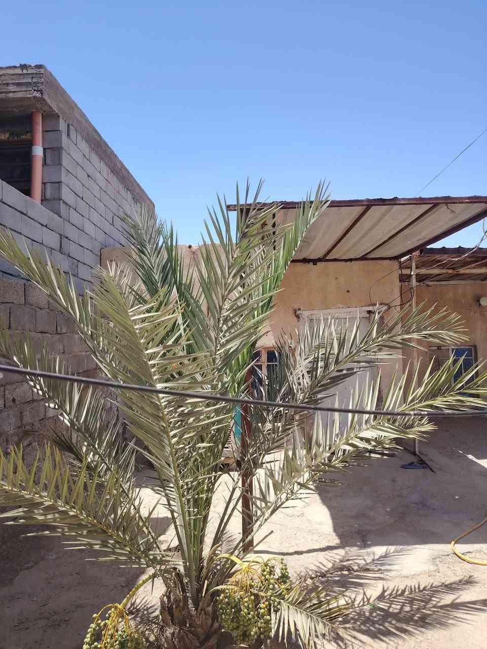 بيت شارع النفط بناء قديم السقف عكاده المساحه 325 يتكون من 3 غرف نوم +صاله +ومطبخ +واستقبال قريب عل شارع  رقم ***********
