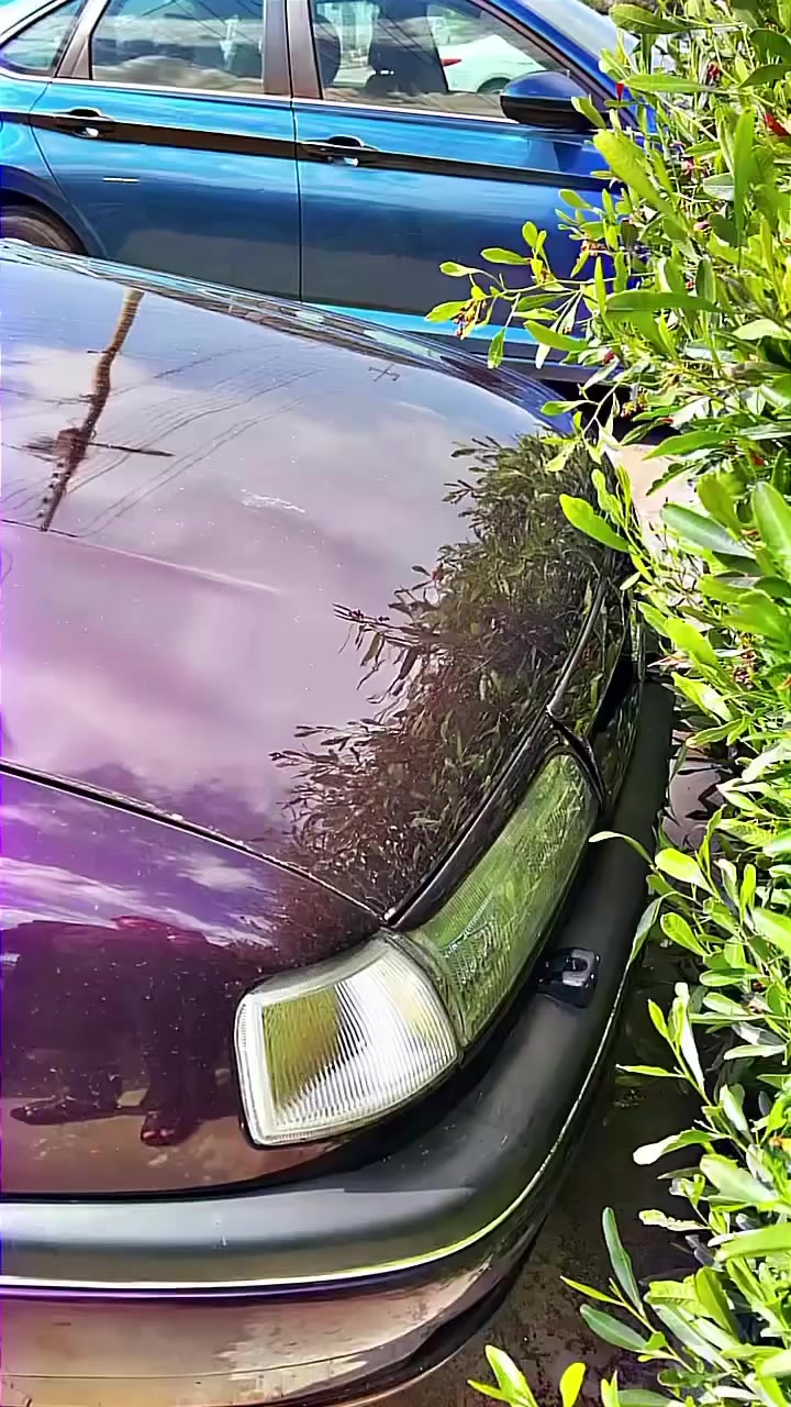 1994


**إذا كنت صاحب هذا الإعلان وتريد حذفه لأي سبب، رجاءا أرسل رسالة إلى الدعم الفني**