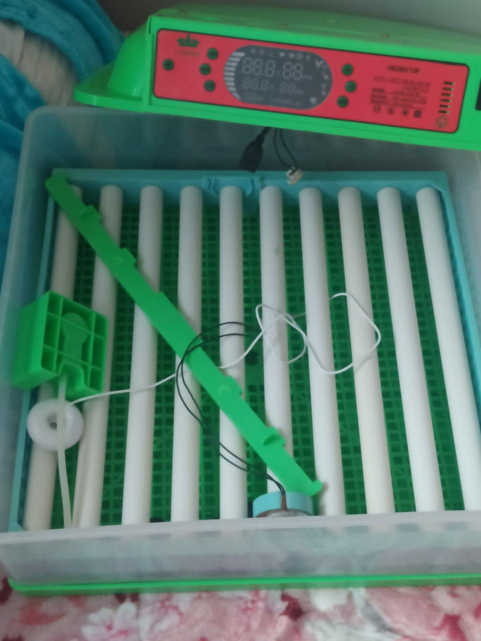 فقاصة بيض لي بيع كتهز 60حبة بقها جديد اطياميم, اليوسفية


**إذا كنت صاحب هذا الإعلان وتريد حذفه لأي سبب، رجاءا أرسل رسالة إلى الدعم الفني**