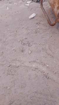 السلام عليكم حادلات 2تك روله بوماك للبيع أو مراوس ***********
