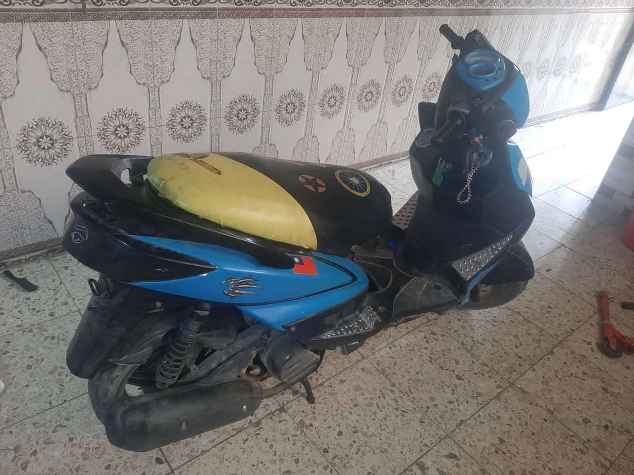 للبيع دراجه سكنك فحل كابريتر  خطين سلف وهندر اشاير كلوبات كلهن شقلات عوزه بس كفر جوة لكشن مكاني بغداد فلكت حي نصر رقم الهاتف *********** سعره 450 مكينه مجفته
