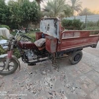 ستوته • موديل ١٤ • أوراق كامله