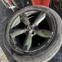 ويل موستنك • حجم ١٨ • نضيف