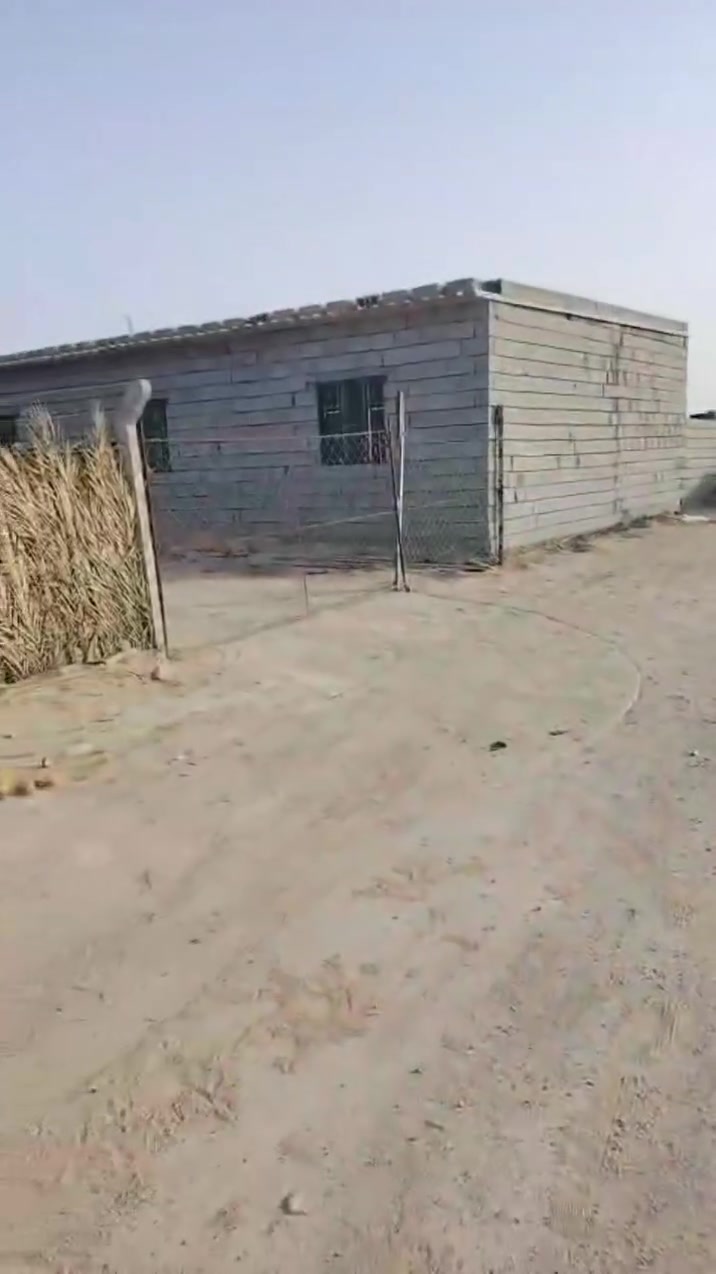 من رخصة الادمن نص دونم للبيع  يحتوي على بيت 3 غرف وديوانية وصحيات ومسبح  ماء كهرباء مثل ما موضح بلفيديو للاستفسار  الاتصال على الرقم ***********
