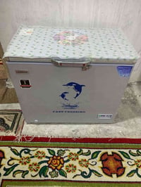 مجمدة • حجم وسط • جديدة