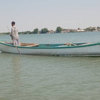 جينكو فايبر • ياماها ١٥ • ابوالخصيب