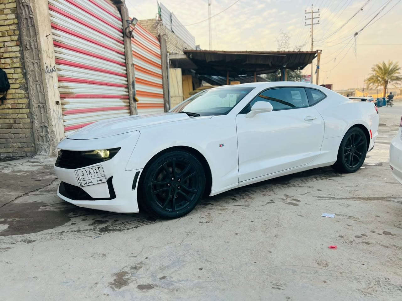 السلام عليكم مراوس او بيع  
كمارو 1lt 🇺🇸🚀
*موديل 19 الشكل الجديد 
*مكينه 2000 تيربو 
*فول للعين عدا الفتحه 
* ثلاث انضمه قياده 
ماشيه 80 ميل  

مواصفات 
*شاشه اعطال 
* تحكمات ستيرن 
* كشنات جلد لون احمر 
* مثبت سرعه 
* محرك نضيف جداً ما مفتوح 
* كير نضيف جداً 
*حدادية امامية خلفية جديد شرط 
* كشنات كهرباء 
* شاشه كبير كار بلي 
* منضومه زنون قوي
* تبريد ثلج 
* سايد كهرباء 
* تعتيم مري كهرباء وتحكم 

عليها ادامه 
تخم تاير جديد اصلي 
بانزين محسن 
منضومه الماء 
دهن صار يومين من مبدله (امزويل )  
باتري جديد 

حادث السياره بدون شاصي ولغد جاملغ امامي وجاملغ خلفي 
وقطعتين كلير يعني 4 قطع ابيع (حزام) قماره بدون صبغ 
والحادث مرفوق ويه الصور .. نصبتها حلوه واحلى من الصور .

السياره رقم بغداد مشروع وطني سنويه جديده 

اذا معجبتك السياره صلي ع نبيك 
والسياره حديده وتروحلكم فدوه اخوتي ..

مكاني كربلاء طويريج
***********
***********
 واي استفسار ع النت موجود وحاضر ..
