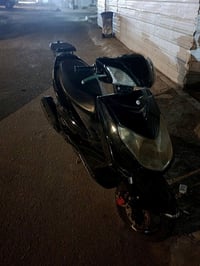 سكنس فحل • نوزل • اوراق كامله