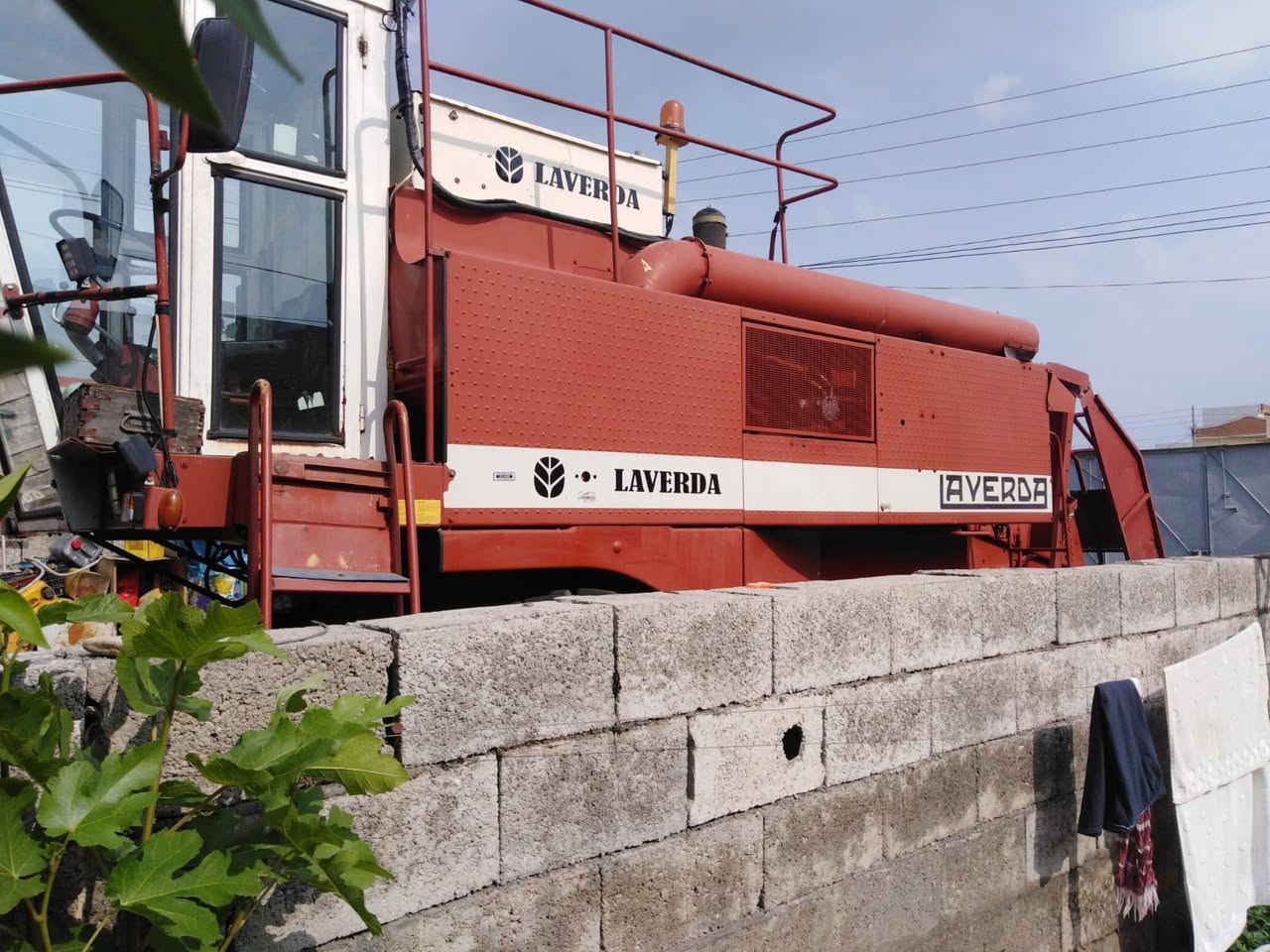 حاصودة للبيع
 
العنوان رانیه
رقم موبایل ***********      ***********
