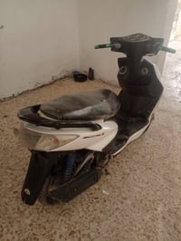 سكنس فحل للبيع سعر 550بيه مجال 📞🫵 07721186147