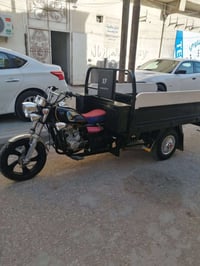 ستوته • صقر • ٢٠٢٠