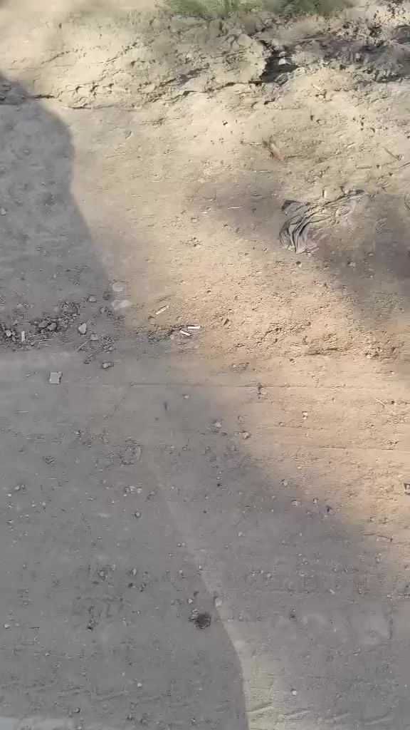 قطع للبيع في الخويلديه قرب المستشفى مجمع قاسم الربيعي المساحه 300متر
***********
