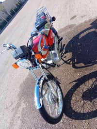 ٢٠٢٦ • دم الغزال • ديالى بلدروز