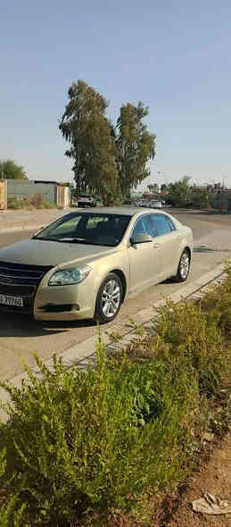 ماليبو سته سلندر 
2009
رقم دهوك دولي 
السعر 70
كير محرك كهربائيات كلها تمام 
السياره بيها خمس قطع صبغ ابيع احزام 
نقصها مشط ستيرن والحداديه الخلفيه 
مكاني بغداد التاجي 
***********
