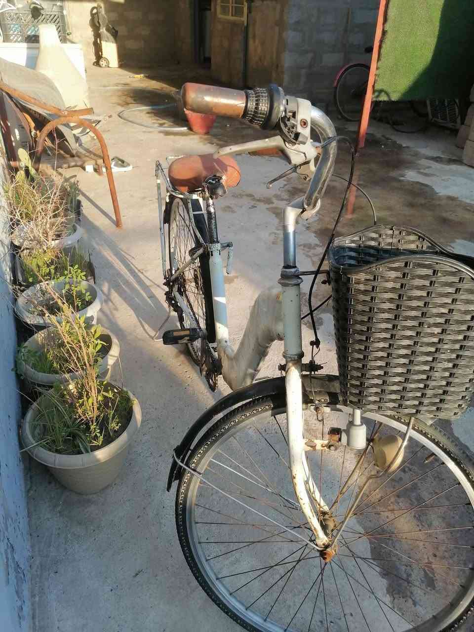 السلام عليكم بايسكل للبيع حجم ٢٦ ابو الكيركلو شغال مكاني حي السماح قرب محطت المشاعل التفاصيل عل خاص


**إذا كنت صاحب هذا الإعلان وتريد حذفه لأي سبب، رجاءا أرسل رسالة إلى الدعم الفني**