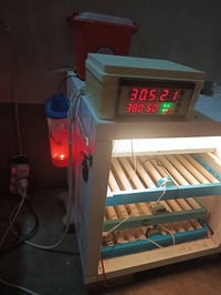 فقاسة المنيوم • أصلية • ٢٢٠ بيضة