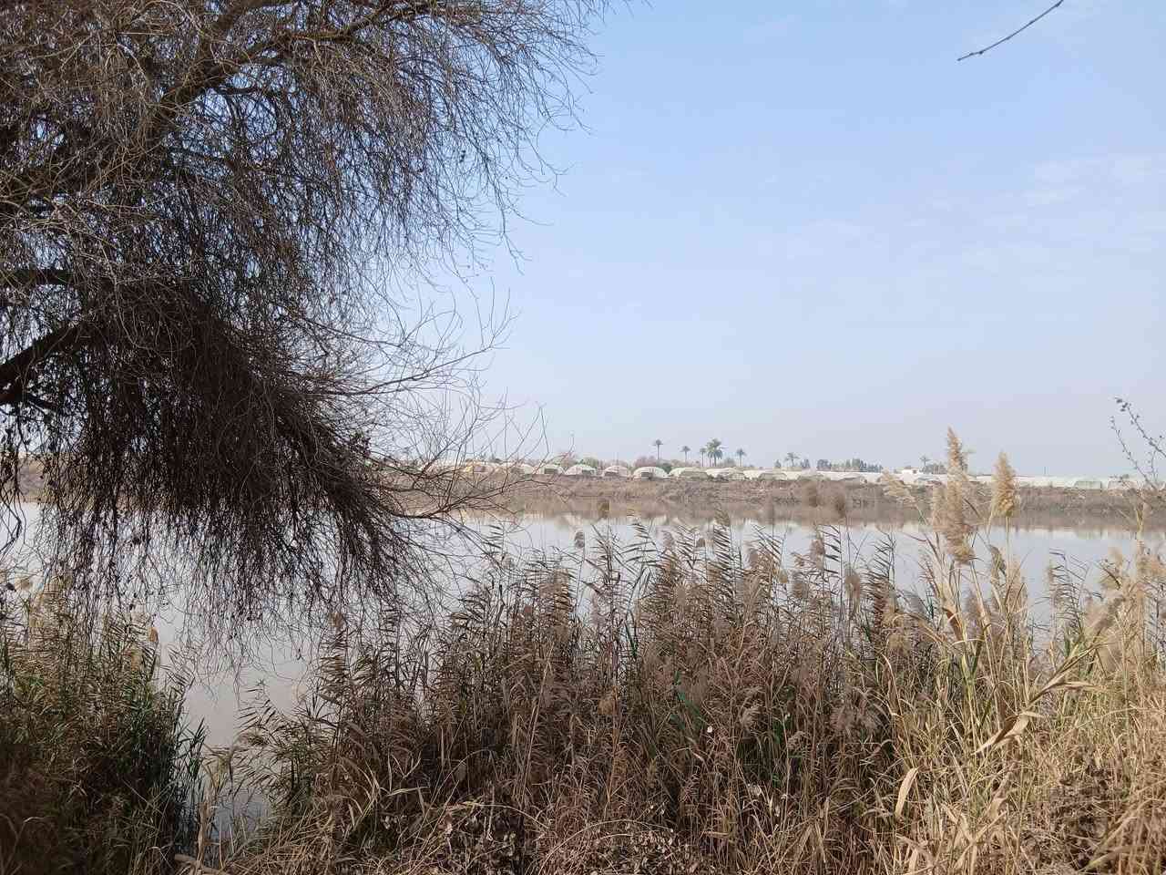 ارض زراعية للبيع اطلالة على الشط بمساحة ٧ دونم ونص مع بيت مبني غرفتين وصالة ومضيف في منطقة المدائن صطيح
للاستفسار على الرقم ***********
