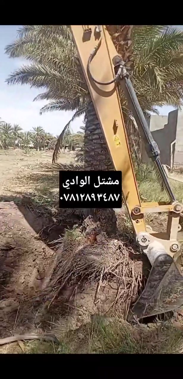 اتصل بنا لقلع النخل والأشجار 
***********

