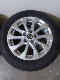 ويل كب • حجم ١٦ • سنترا ٢٠٢٥