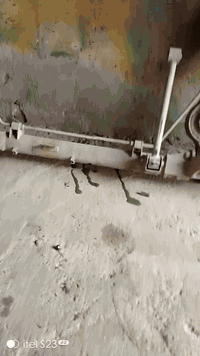 هوزن سيدونا خلفي كامل نقص رباط طويل ودبلات فقط الهوزن نظيف نسبة 80% هو والشد مالته ب100الف بدون شد 50 الف وبي مجال بسيط العنوان بغداد الشعله الأخير مقابيل المصلخ حدادة صدر اناركي 99 
هاتف: ***********
