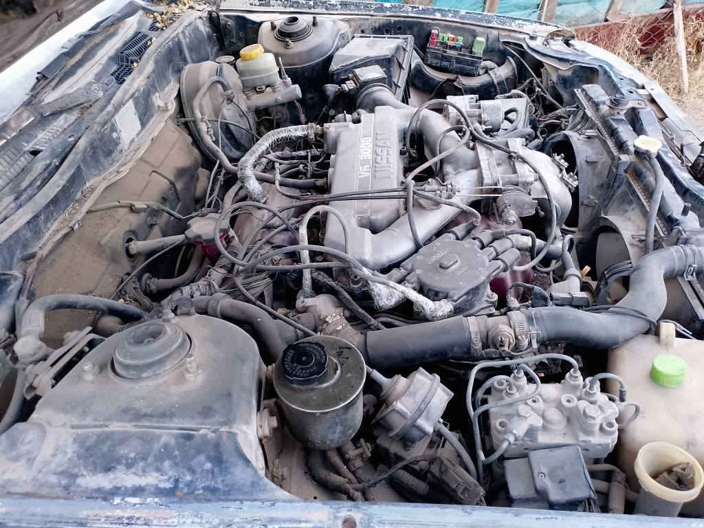 مەکینە بلاد گێڕ عادی ئارامی پلاستیکی سلێمانی *********** السليمانية, العراق
