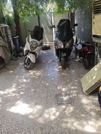 شباب متوفر تفصيخ سلفر ونج عادي وجيتي  العنوان بغداد مدينت الصدر  توصيل...