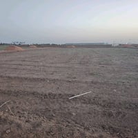 عرصه زراعي مساحه 200متر خلف حي الجامعه يم مجمع الضباط الجديد يم حيدر ا...