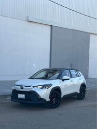 فروت لاندر • ٢٠٢٥ • رقم بغداد