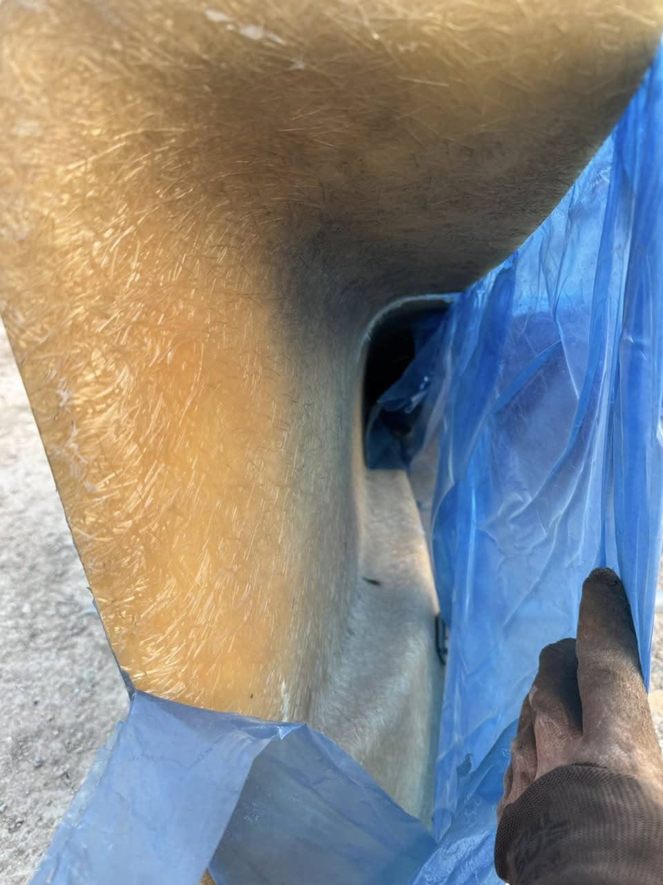 سلام عليكم عندي أغراض كيا للبيع
كاسحه ب ١٧٥ وبيها مجال حاويه جديده كلش 

سله ب ٢٥ 

درع دعاميه حاويه اصلي ب ٦٠ 

باب ٩٤ قيم وآخذ 

صفاح جه وحده ب ٧٥

عندي كشنات جلد 

باب مال ١٥ 

عندي داير مال حديث العنوان  ديالى بعقوبه

ماعندي توصيل 

موجود خاص. شراي يدلل


**إذا كنت صاحب هذا الإعلان وتريد حذفه لأي سبب، رجاءا أرسل رسالة إلى الدعم الفني**