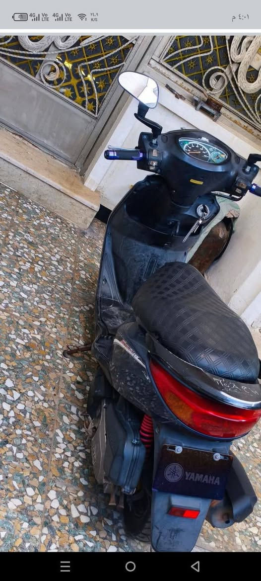 دراجه بلاديه بغبغا للبيع السعر خاص ***********
