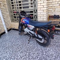 بوكسر جبلي ٢٢ اوراق كفالة نضيفة لمجر 07832703479