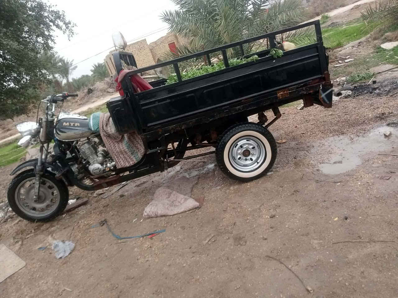 السلام عليكم البيع ستوته محركه اكسنه نضيفات شاصيه نضيف رقم اسود وسنويه مديل 10رعيه ماندله ستوته نكره سلف مآل شغل سعره625مكاني المجد رقمي ***********
