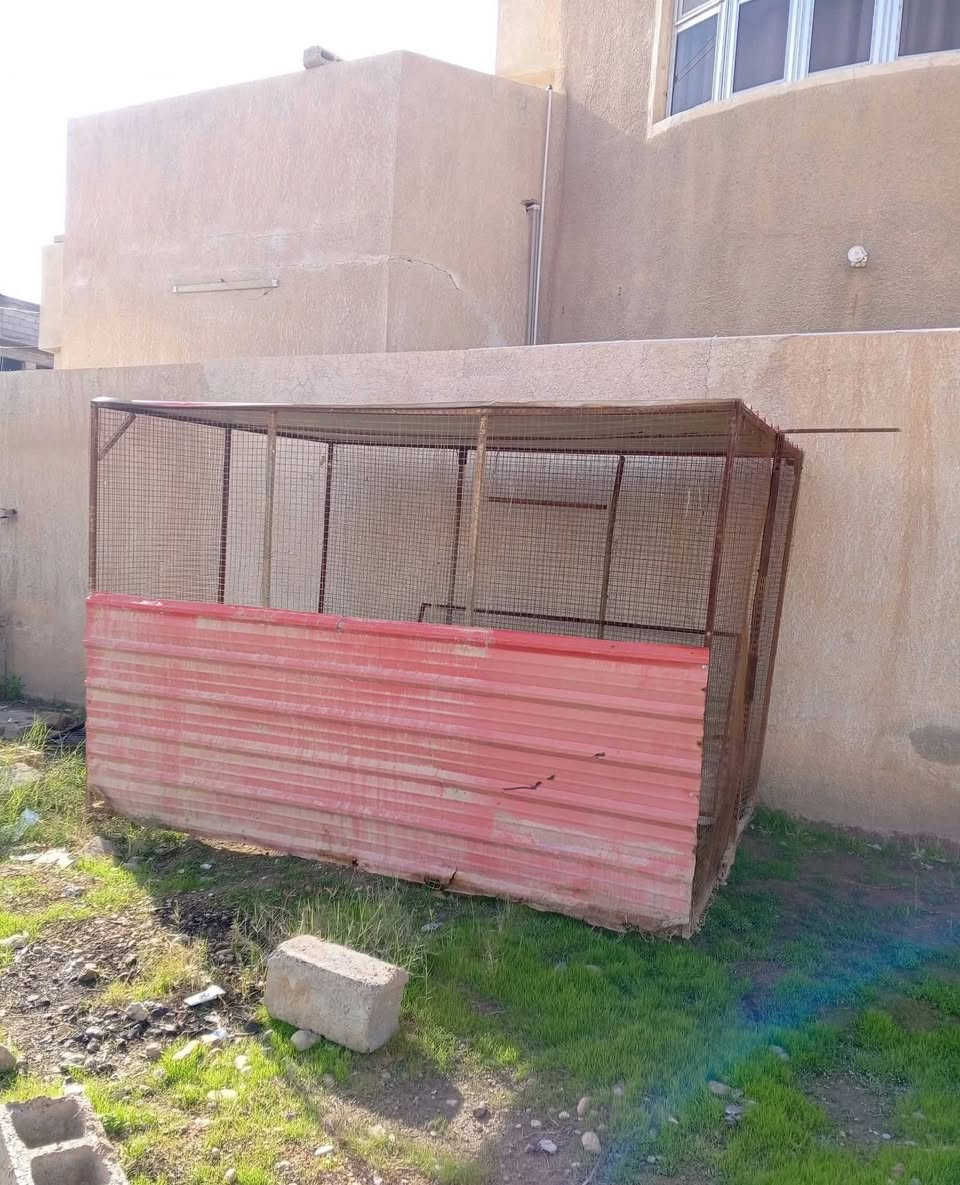 متاح قفص حديد مقلف كامل يرهم لكلشي نضيف كما واضح بتصوير العنوان تكريت 
***********
