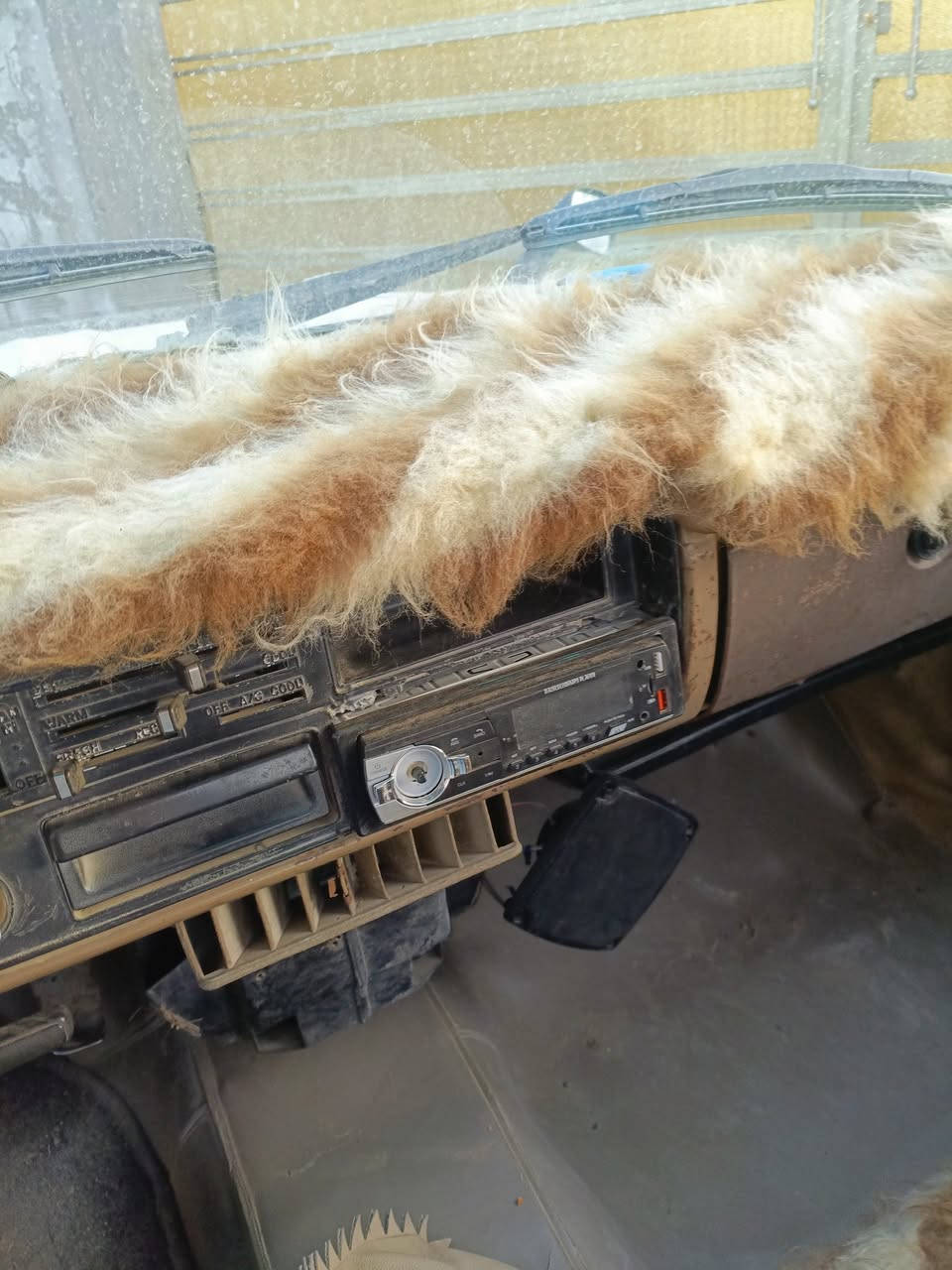 سلام عليكم بيكم 80  رقم دولي وبسمي المكان بغداد التاجي السعر   26 . وبينه ***********
