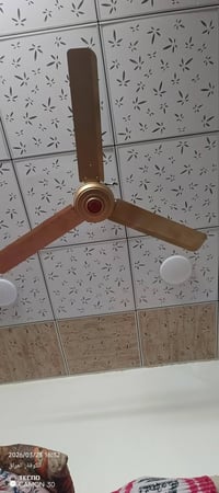 مراوح • كوري • نجف حي نيسان