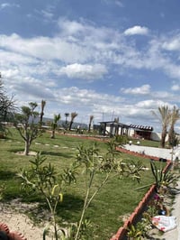 يوجد دونمين زراعيه للبيع سند 25 ع شارع الرئيسي  يوجد كافه الخدمات  تصل...