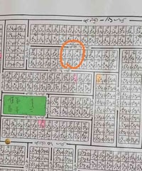 الكاورية الثالثة • ١٠٠م • قطعة ٢٤٨