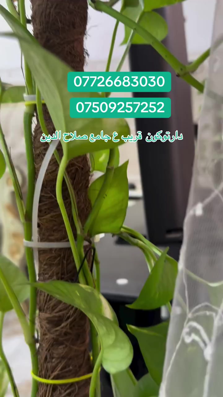 #سهاد عقارات اربيل 
 #لندن #نجف #بصره #كوت #كوكوك #تكريت #اربيل #بغداد #
***********
***********
