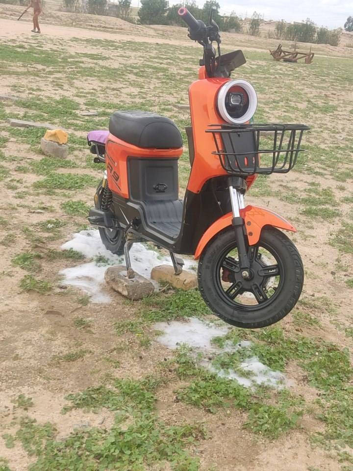 سلام عليكم
دراجه شحن R9
بطاريات ٣٣ابير 2026


**إذا كنت صاحب هذا الإعلان وتريد حذفه لأي سبب، رجاءا أرسل رسالة إلى الدعم الفني**