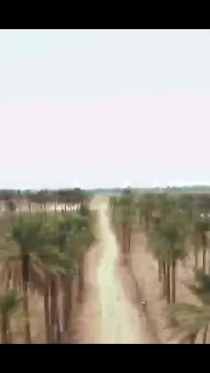 سلام عليكم جميعا
الي عندة رغبه في المزارع والسياحه والترفيه والتجارة في ان واحد 

توجد مزارع من دونم الي دونمين الي اربع دوانم الي سبعه

 وهكذا

 بسعار مناسبة منطقة هادئة 

جنس الارض طابو زراعي سند 25

 تحويل مباشر عند الشراء بالطابو تحويل بسمك 

موقع في بغداد الكرخ - منطقة المكاسب - المراسمة  

خلف حي الجهاد قرب مطار بغداد 

خدمات 

ماء 

كهرباء

تبليط 
هم سياحه وترفيه وهم تجارة للاستفسار الاتصال على الرقم

 ***********
