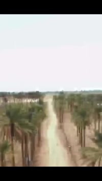 جميعا الي عندة رغبه في المزارع والسياحه والترفيه والتجارة في ان واحد  ...