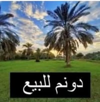 أرض للبيع • دونم للبيع • عقار بعقوبة • أرض كنعان • أرض أبو دغار • قطعة...